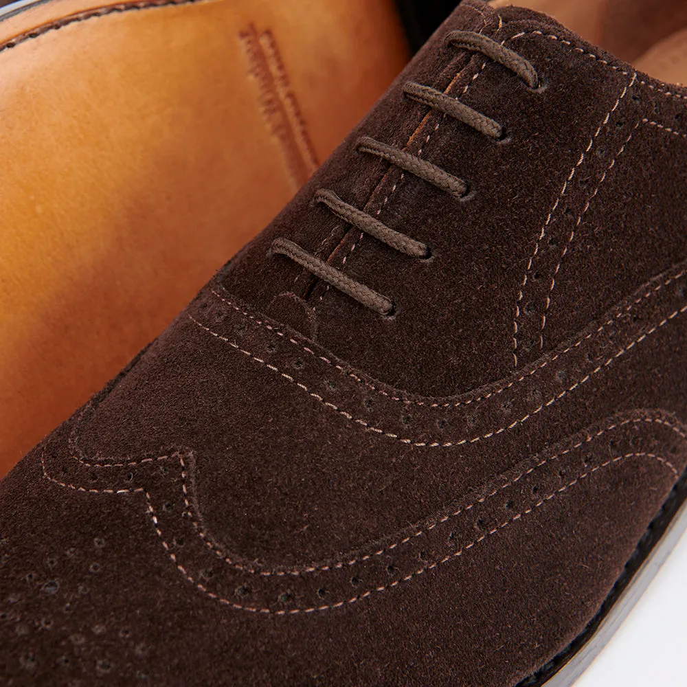 Cheltenham Brogue - Suede